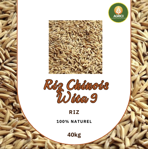 Riz Long grain Chinois Wita 9