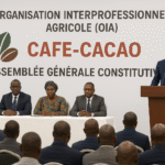 Côte d’Ivoire : Naissance de l’Organisation Interprofessionnelle Agricole du café-cacao