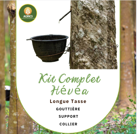 Kit complet de saignée du latex (Hévéa)