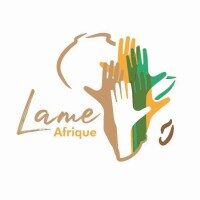 L’ONG Lame Afrique