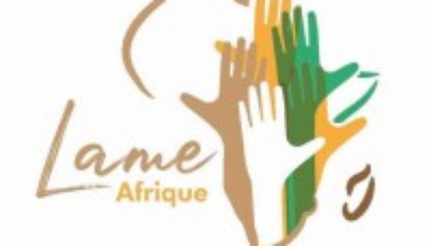 L’ONG Lame Afrique