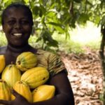 Guémon : 450 millions de F CFA pour financer 40 OSC agricoles