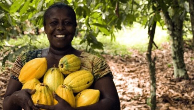 Secteur-Agricole-en-Cote-dIvoire