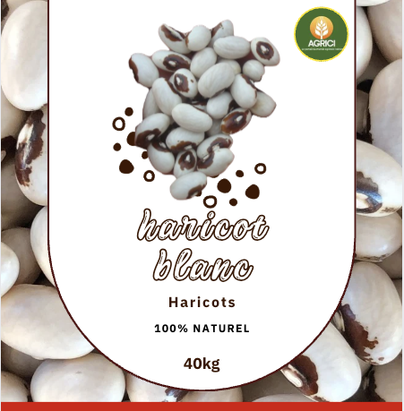Haricot Blanc