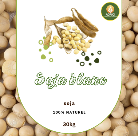 Soja Blanc