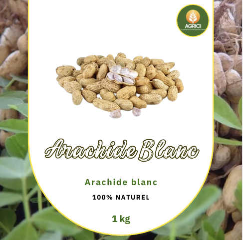 Arachide blanc 1kg