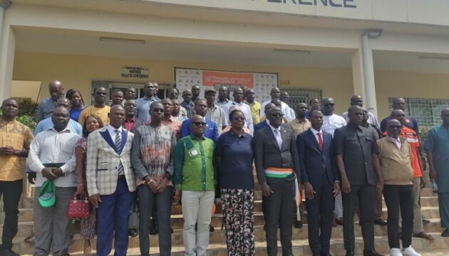 cajou-anacarde-Yamoussoukro-agriculture