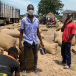 Worodougou : la filière anacarde mise sur la transformation locale et la compétitivité