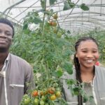 Côte d’Ivoire : quand des diplômés choisissent les champs plutôt que les carrières urbaines