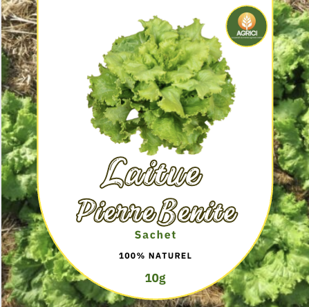 Laitue Pierre Bénite 10g