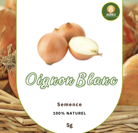Oignon Blanc