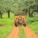 Côte d’Ivoire : Le CHPH élabore une vision commune pour le zoning dans la filière palmier à huile