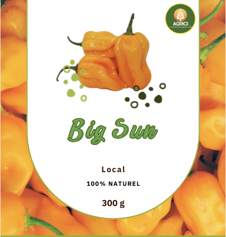 Piment Big Sun (Local 300g)