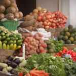 RDC : lancement d’un méga-complexe agroalimentaire d’un milliard de dollars