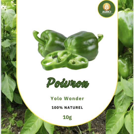 Poivron Yolo Wonder 10g