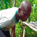 Côte d’Ivoire : le Potager du Futur initie les enfants et les adultes à l’agriculture durable