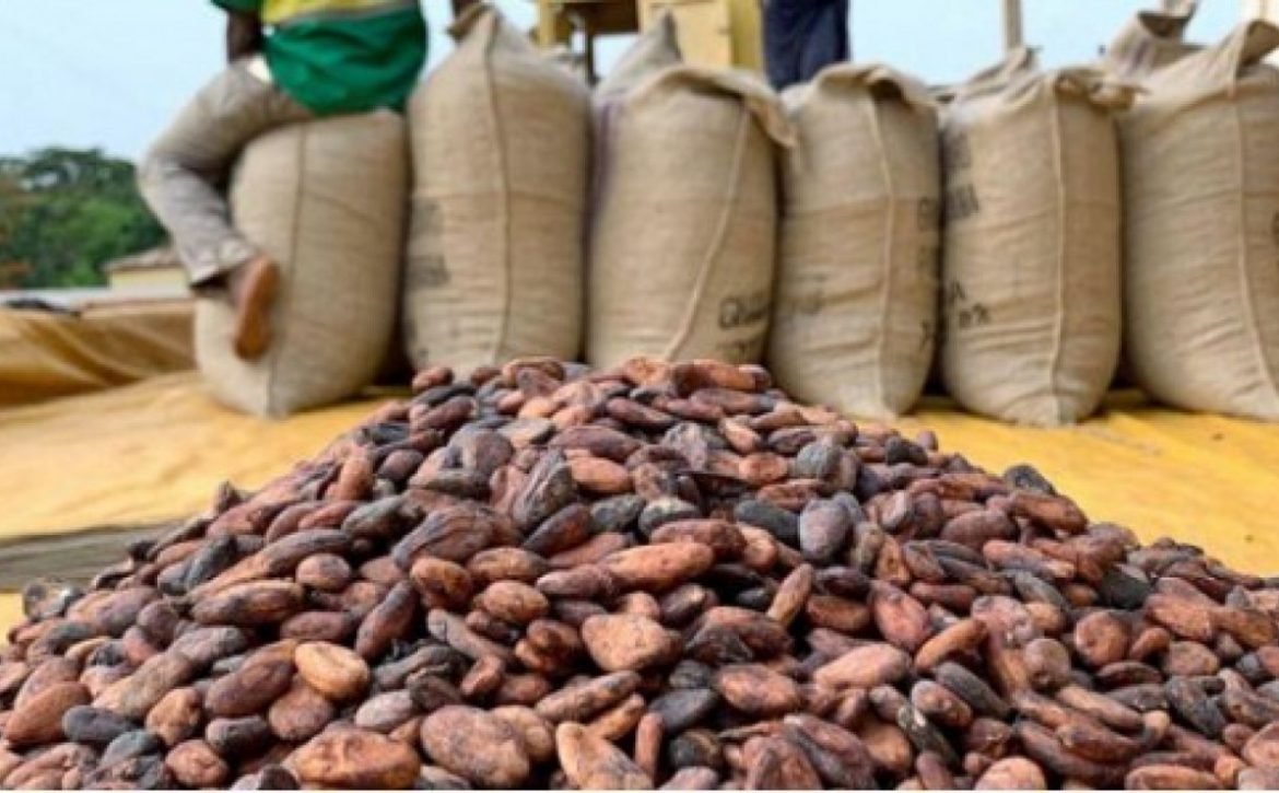 cacao contrebande cote divoire
