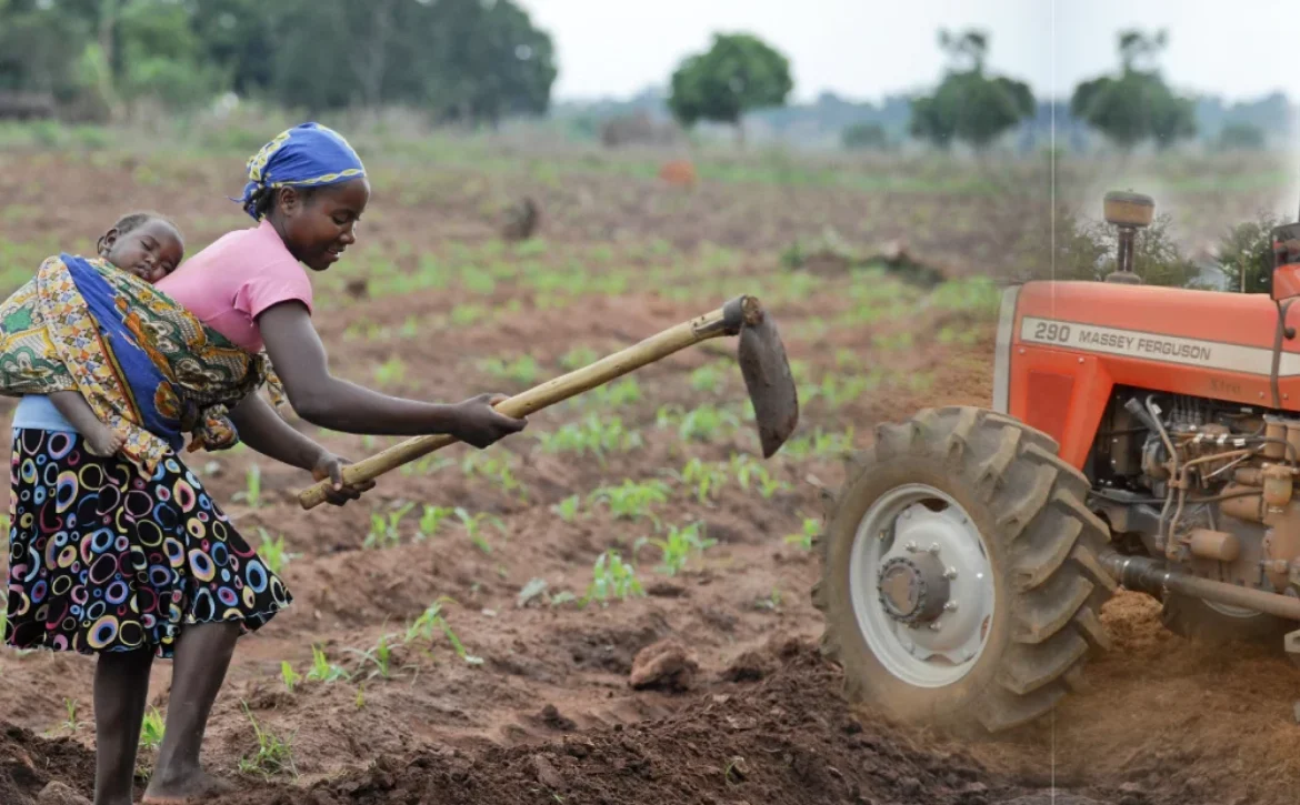 modernisation agricole