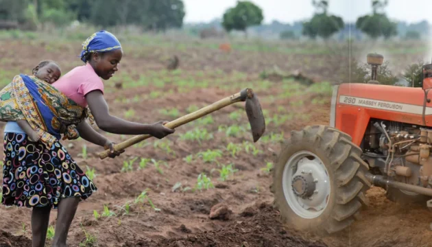 modernisation agricole